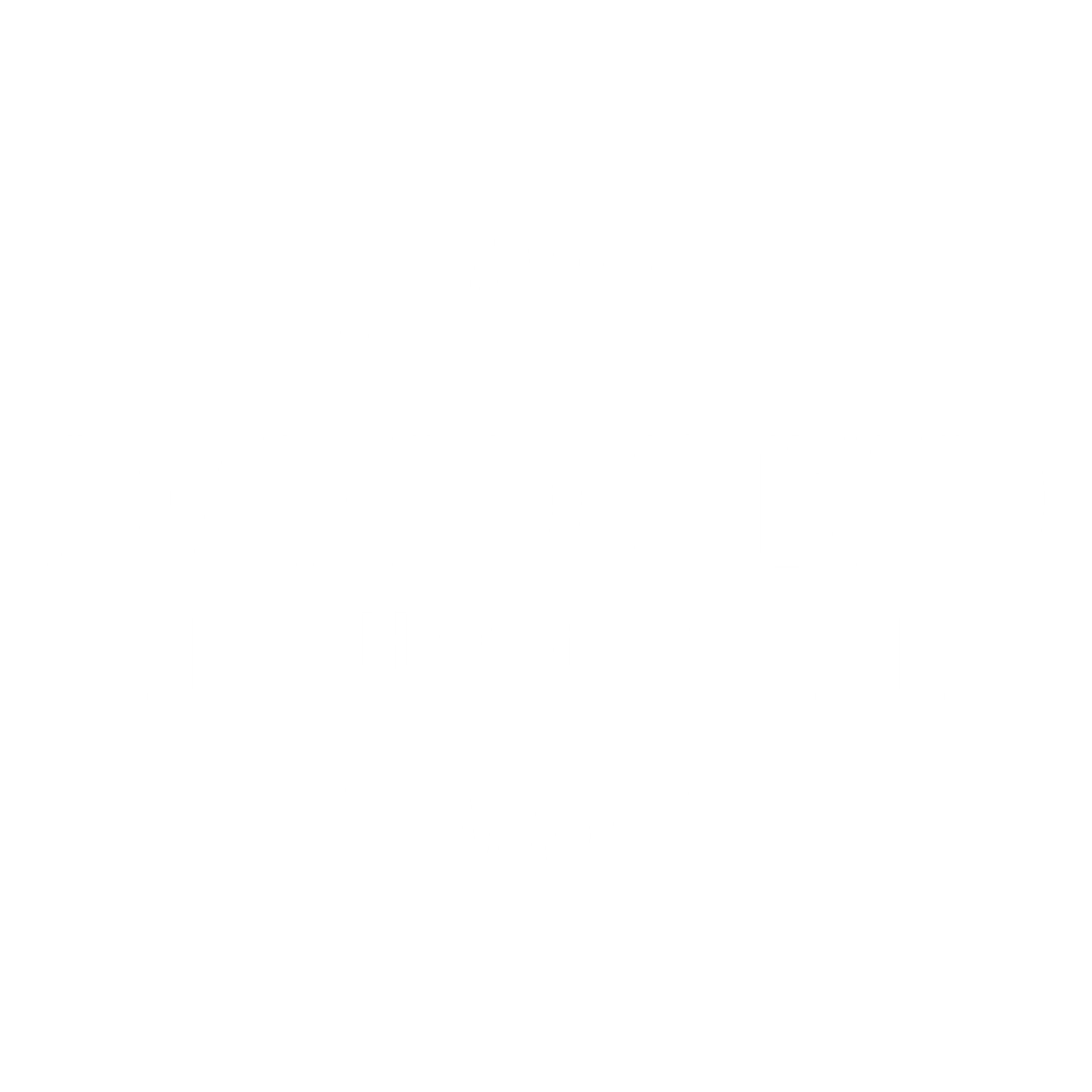 David-Reid-Homes-Logo-White-Transparent